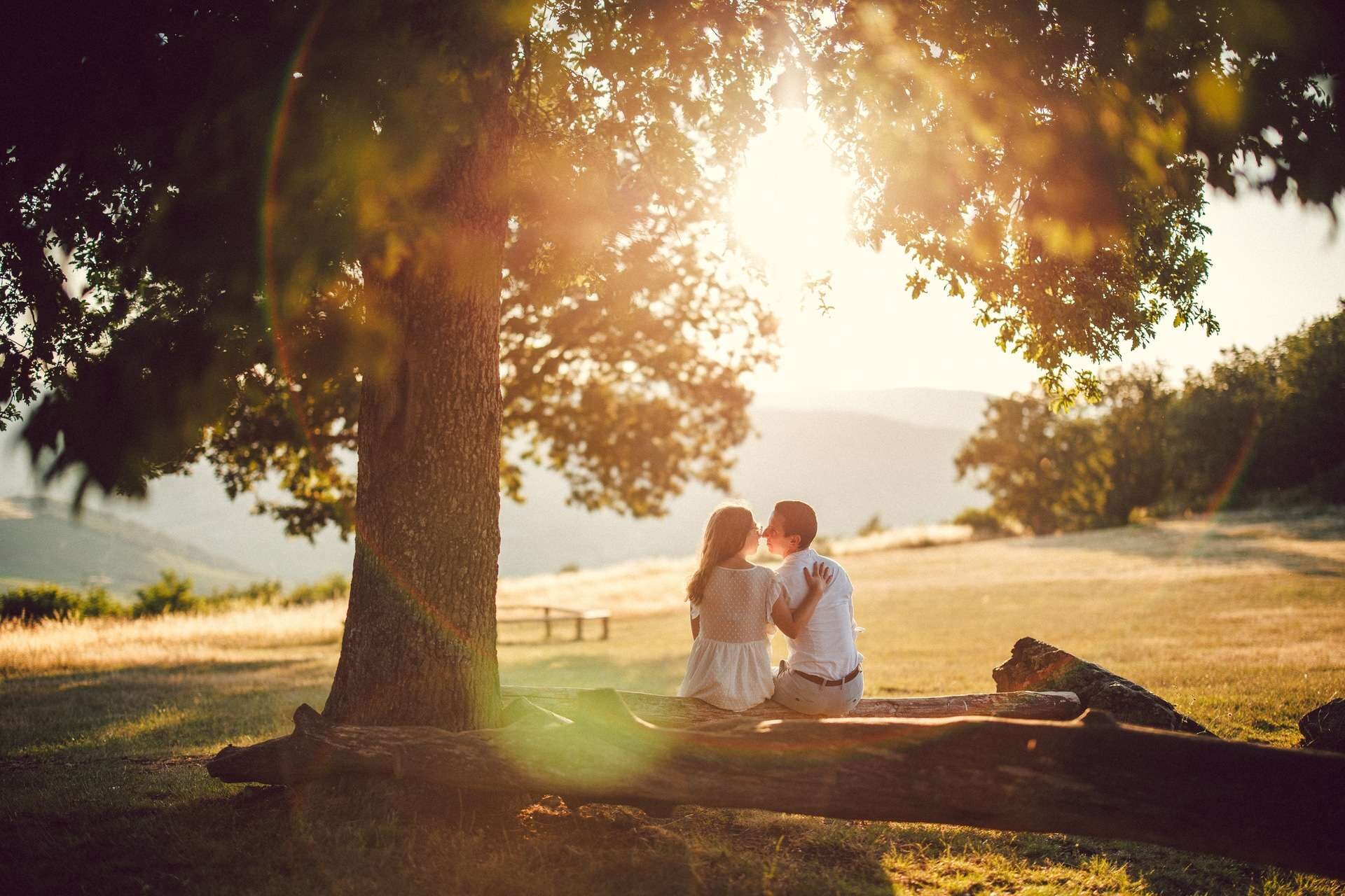Couple assis ensemble sous un grand arbre à la lumière dorée du coucher de soleil